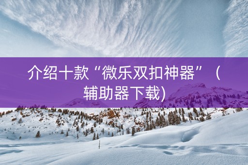 介绍十款“微乐双扣神器”（辅助器下载)