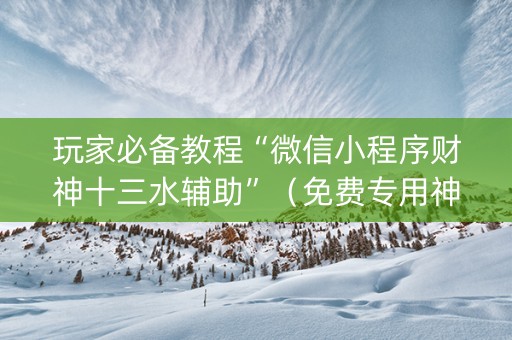 玩家必备教程“微信小程序财神十三水辅助”（免费专用神器)