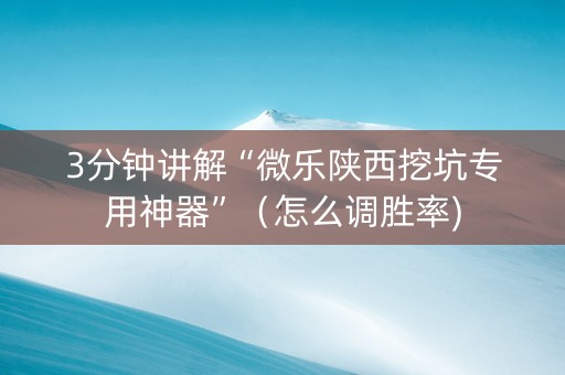 3分钟讲解“微乐陕西挖坑专用神器”（怎么调胜率)