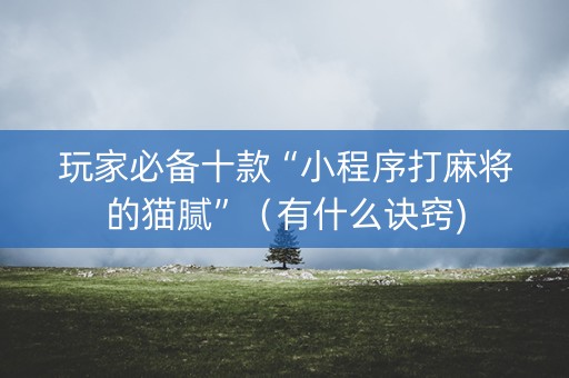 玩家必备十款“小程序打麻将的猫腻”（有什么诀窍)