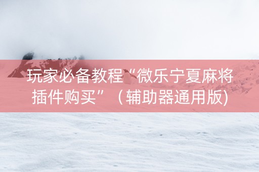 玩家必备教程“微乐宁夏麻将插件购买”（辅助器通用版)