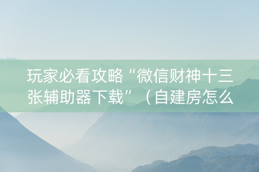 玩家必看攻略“微信财神十三张辅助器下载”（自建房怎么拿好牌)