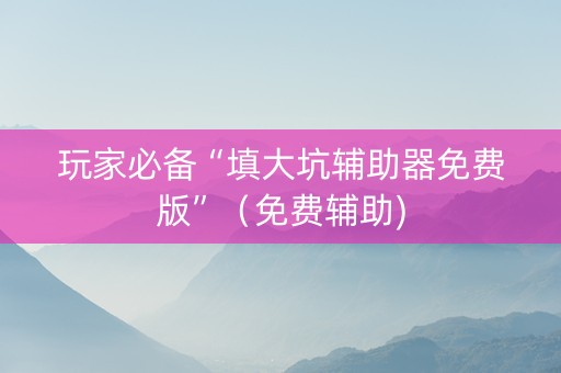玩家必备“填大坑辅助器免费版”（免费辅助)