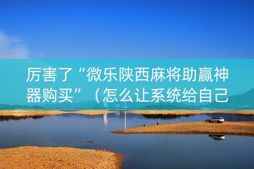 厉害了“微乐陕西麻将助赢神器购买”（怎么让系统给自己好牌)