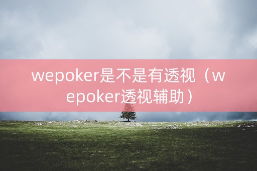 wepoker是不是有透视（wepoker透视辅助）