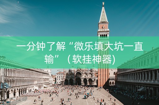 一分钟了解“微乐填大坑一直输”（软挂神器)