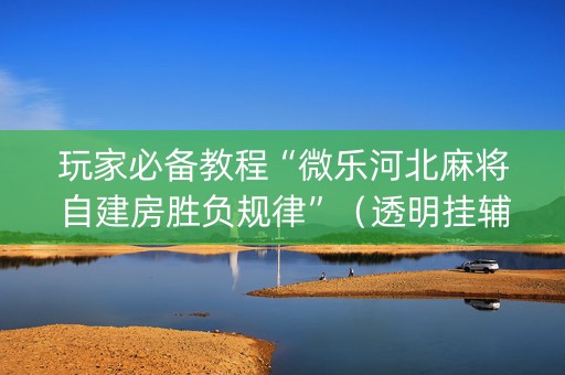 玩家必备教程“微乐河北麻将自建房胜负规律”（透明挂辅助器)