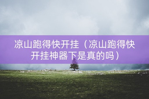 凉山跑得快开挂（凉山跑得快开挂神器下是真的吗）