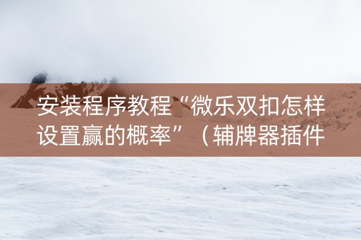 安装程序教程“微乐双扣怎样设置赢的概率”（辅牌器插件购买)