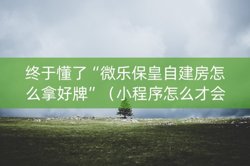 终于懂了“微乐保皇自建房怎么拿好牌”（小程序怎么才会赢)