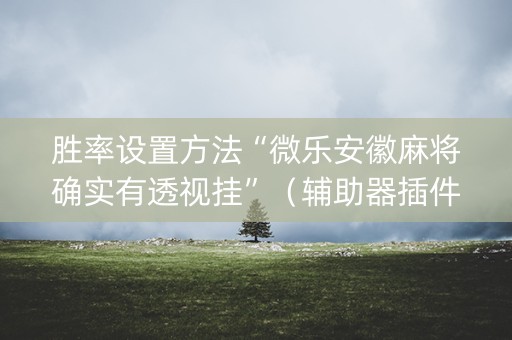 胜率设置方法“微乐安徽麻将确实有透视挂”（辅助器插件)