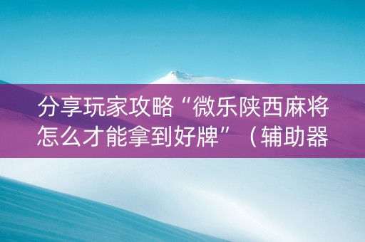 分享玩家攻略“微乐陕西麻将怎么才能拿到好牌”（辅助器通用版)
