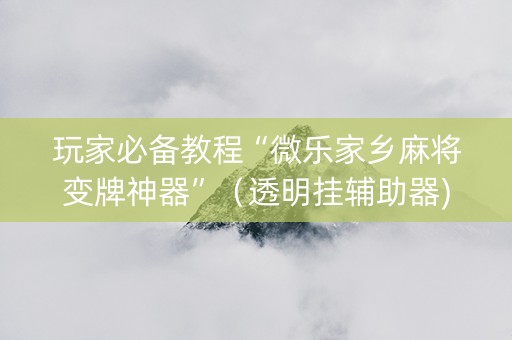 玩家必备教程“微乐家乡麻将变牌神器”（透明挂辅助器)
