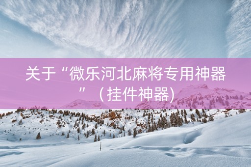 关于“微乐河北麻将专用神器”（挂件神器)