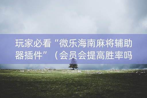 玩家必看“微乐海南麻将辅助器插件”（会员会提高胜率吗)