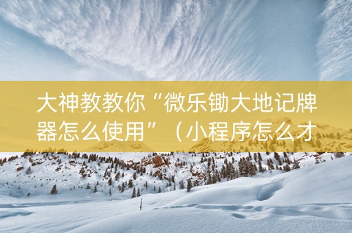 大神教教你“微乐锄大地记牌器怎么使用”（小程序怎么才会赢)