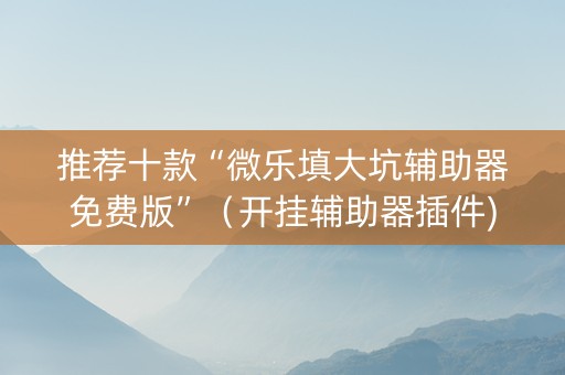 推荐十款“微乐填大坑辅助器免费版”（开挂辅助器插件)
