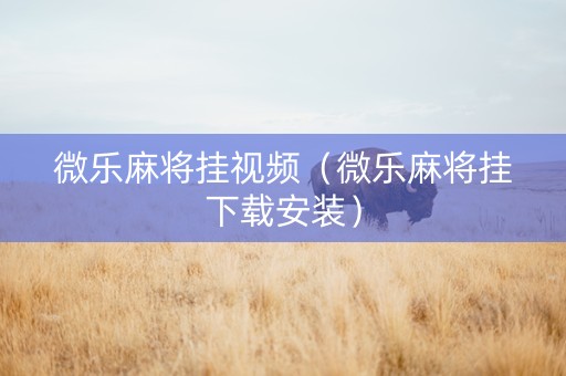 微乐麻将挂视频（微乐麻将挂下载安装）