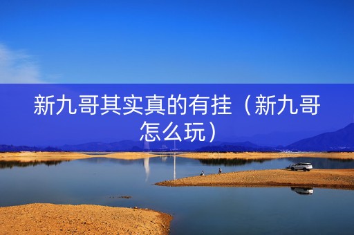 新九哥其实真的有挂（新九哥怎么玩）