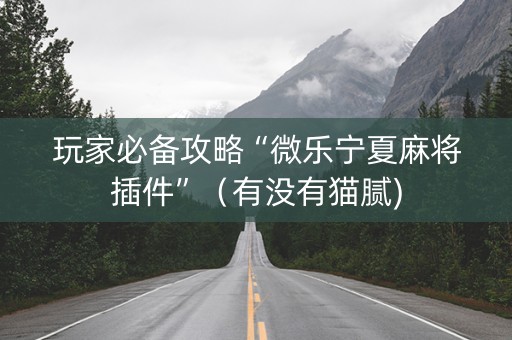 玩家必备攻略“微乐宁夏麻将插件”（有没有猫腻)