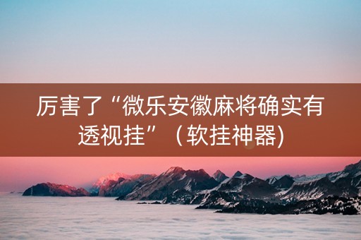 厉害了“微乐安徽麻将确实有透视挂”（软挂神器)