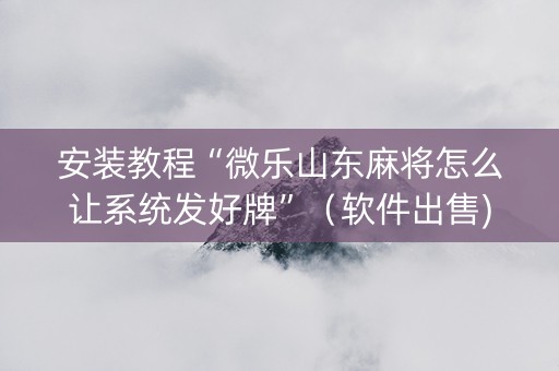 安装教程“微乐山东麻将怎么让系统发好牌”（软件出售)