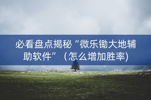 必看盘点揭秘“微乐锄大地辅助软件”（怎么增加胜率)