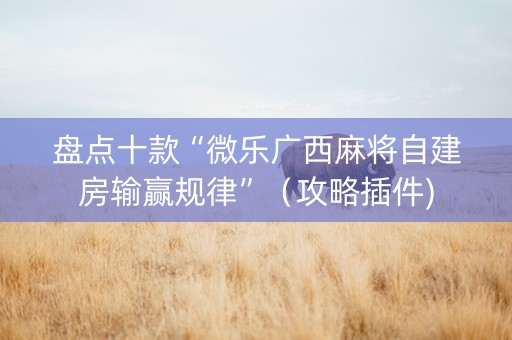 盘点十款“微乐广西麻将自建房输赢规律”（攻略插件)