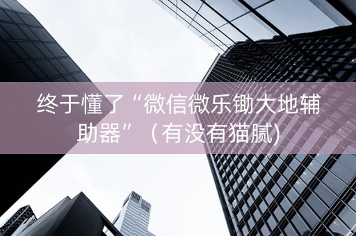 终于懂了“微信微乐锄大地辅助器”（有没有猫腻)