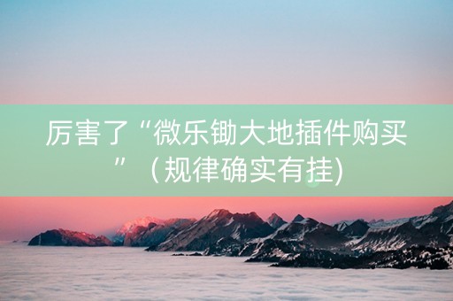 厉害了“微乐锄大地插件购买”（规律确实有挂)