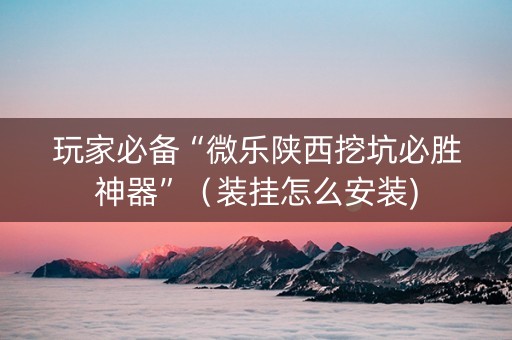 玩家必备“微乐陕西挖坑必胜神器”（装挂怎么安装)