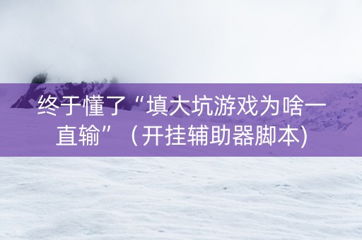 终于懂了“填大坑游戏为啥一直输”（开挂辅助器脚本)