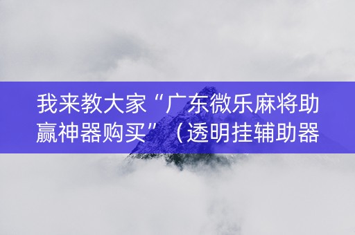 我来教大家“广东微乐麻将助赢神器购买”（透明挂辅助器)