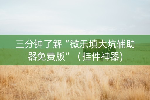 三分钟了解“微乐填大坑辅助器免费版”（挂件神器)