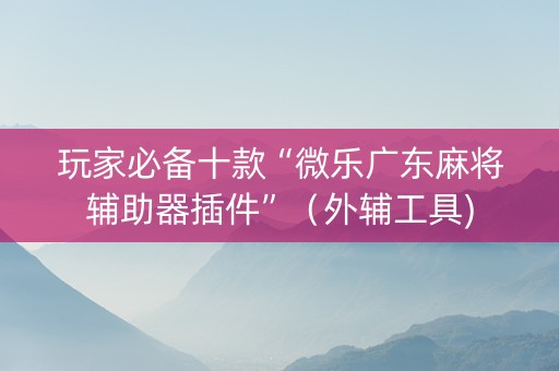 玩家必备十款“微乐广东麻将辅助器插件”（外辅工具)