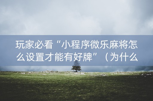 玩家必看“小程序微乐麻将怎么设置才能有好牌”（为什么有人一直赢)