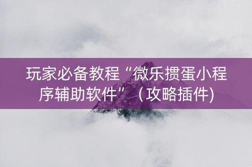 玩家必备教程“微乐掼蛋小程序辅助软件”（攻略插件)