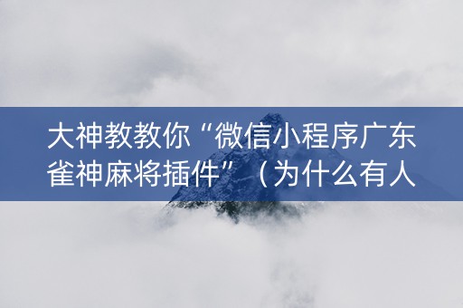 大神教教你“微信小程序广东雀神麻将插件”（为什么有人一直赢)