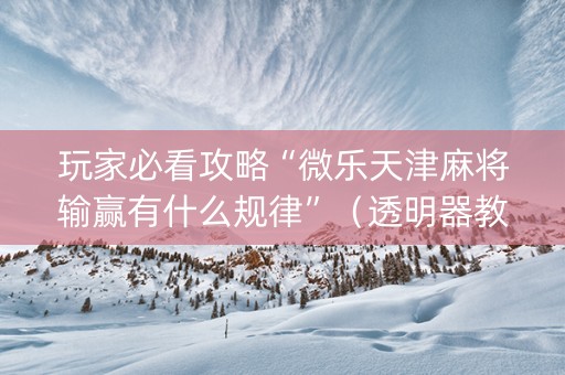 玩家必看攻略“微乐天津麻将输赢有什么规律”（透明器教程)