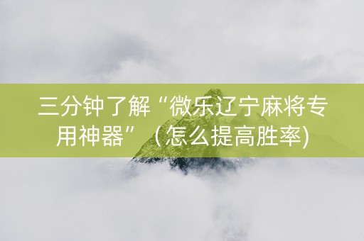 三分钟了解“微乐辽宁麻将专用神器”（怎么提高胜率)