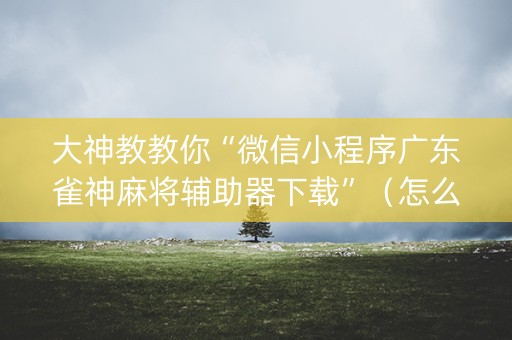 大神教教你“微信小程序广东雀神麻将辅助器下载”（怎么设置能有好牌)