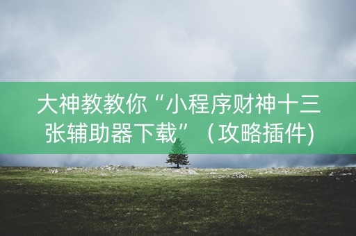大神教教你“小程序财神十三张辅助器下载”（攻略插件)