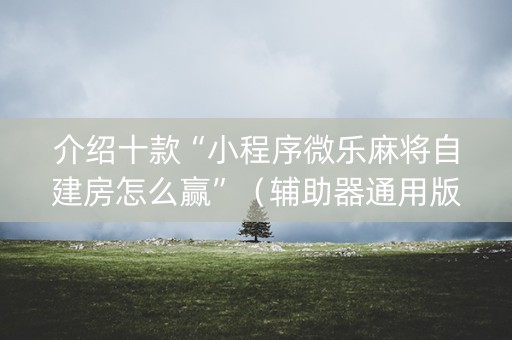 介绍十款“小程序微乐麻将自建房怎么赢”（辅助器通用版)
