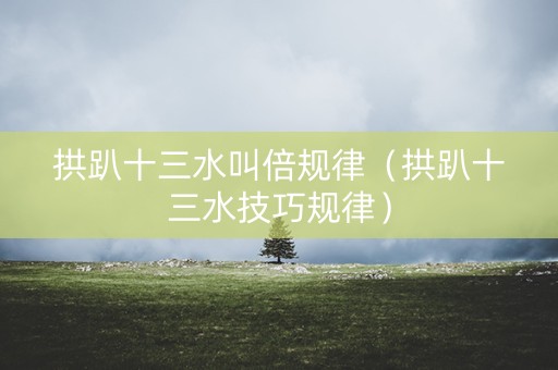拱趴十三水叫倍规律（拱趴十三水技巧规律）