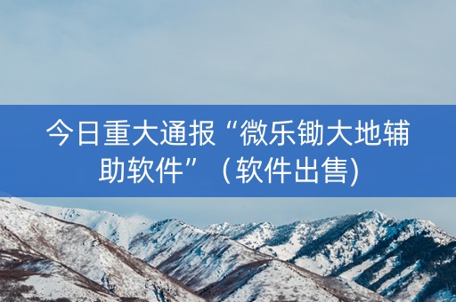 今日重大通报“微乐锄大地辅助软件”（软件出售)