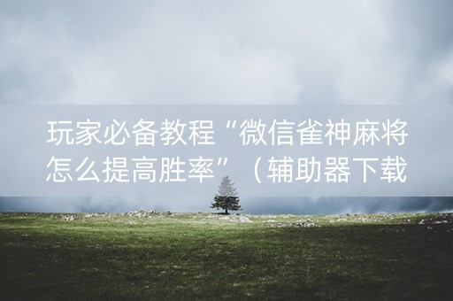 玩家必备教程“微信雀神麻将怎么提高胜率”（辅助器下载)