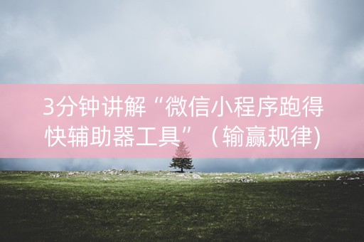 3分钟讲解“微信小程序跑得快辅助器工具”（输赢规律)