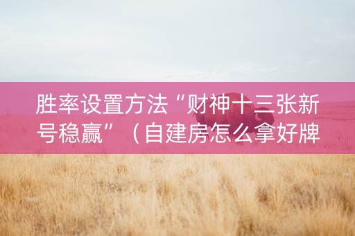 胜率设置方法“财神十三张新号稳赢”（自建房怎么拿好牌)
