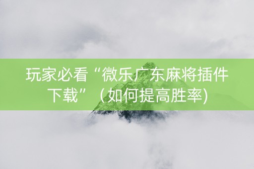 玩家必看“微乐广东麻将插件下载”（如何提高胜率)