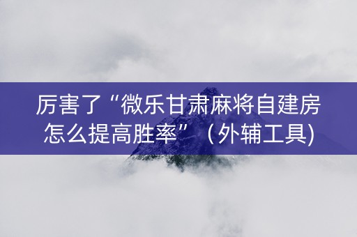 厉害了“微乐甘肃麻将自建房怎么提高胜率”（外辅工具)